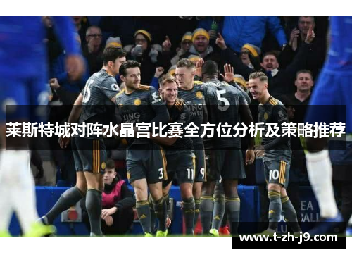 莱斯特城对阵水晶宫比赛全方位分析及策略推荐